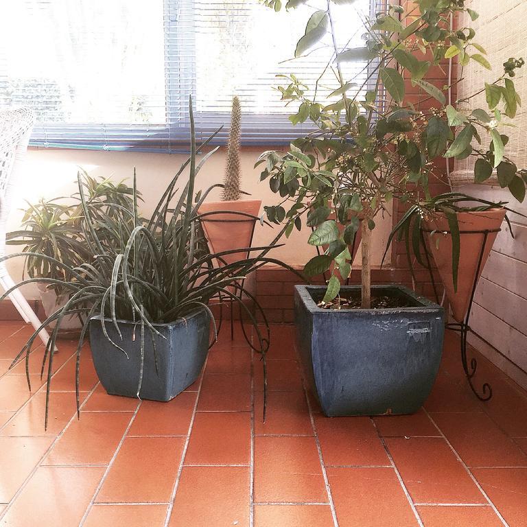 Villa Cetta B&B San Leone Eksteriør bilde