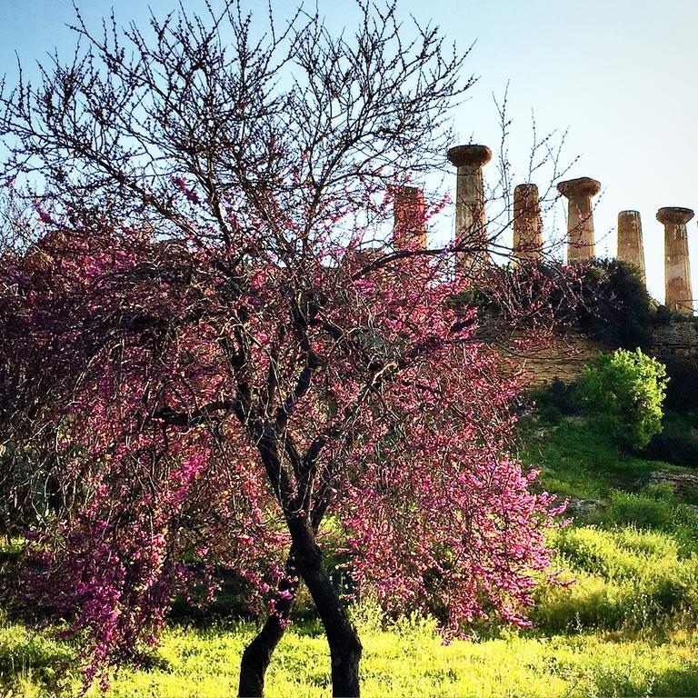 Villa Cetta B&B San Leone Eksteriør bilde
