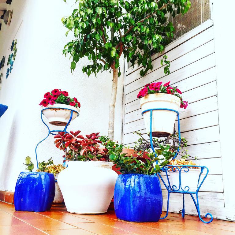 Villa Cetta B&B San Leone Eksteriør bilde