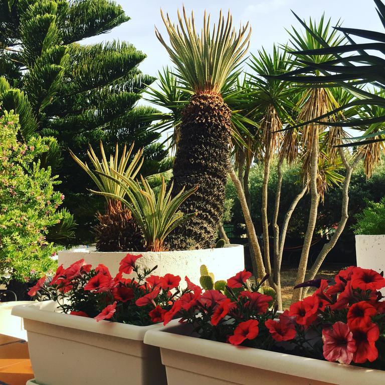 Villa Cetta B&B San Leone Eksteriør bilde
